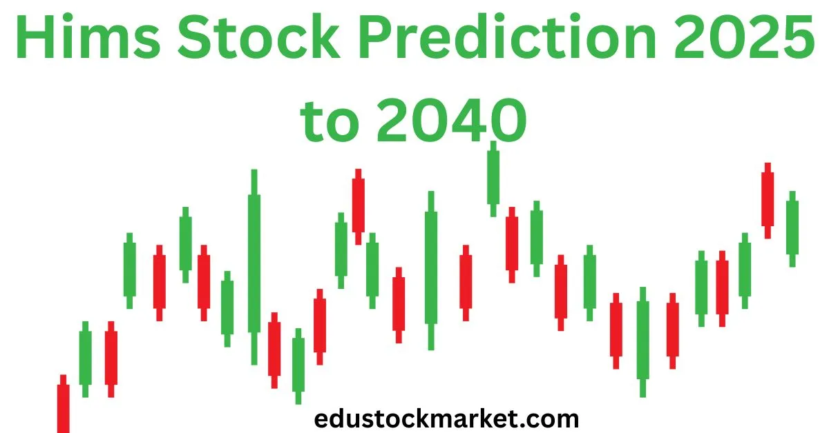 Hims-Stock-Prediction-2025-to-2040